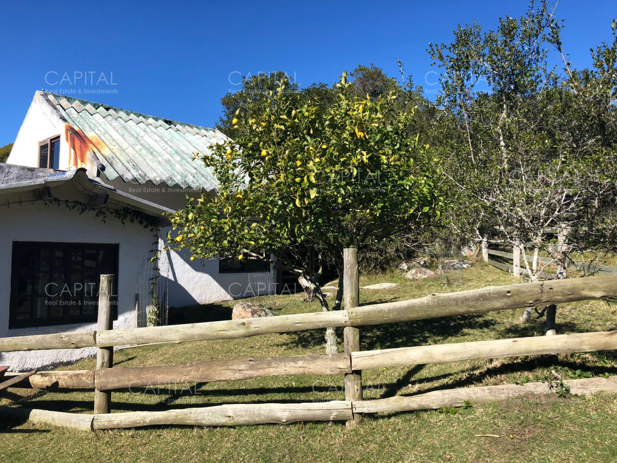 Chacra ID.31247 - Chacra en Ruta 39, en venta