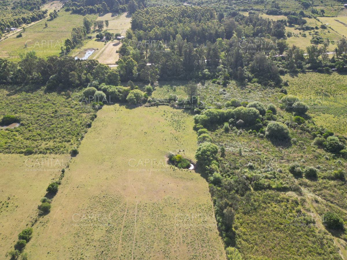 Chacra ID.37467 - Chacra de 5 has en ruta 9 próximo a ruta 12