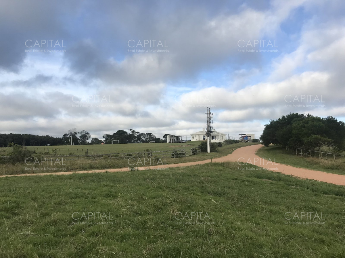Chacra ID.26573 - Medellin Faro - Jose Ignacio - 1 has.