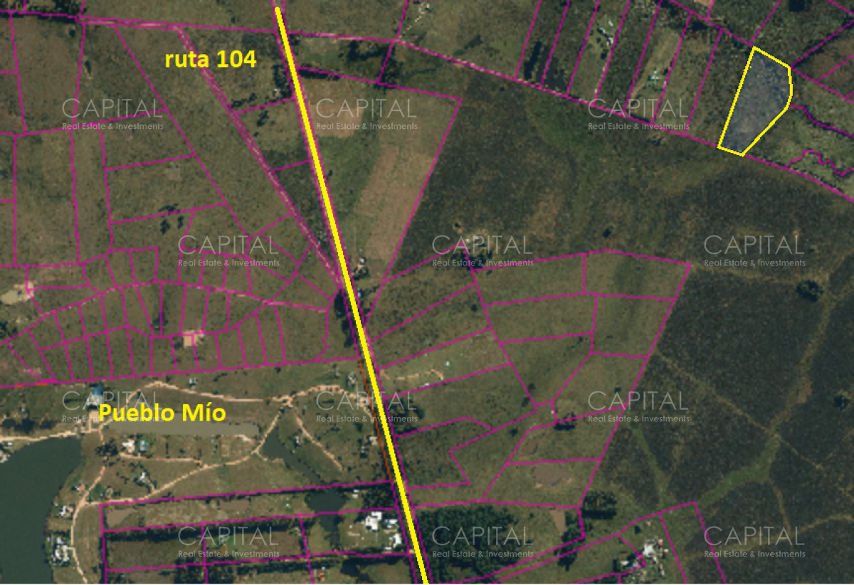 Chacra ID.38847 - Chacra de 5 has a metros de 104 próximo a Pueblo Mío, NARBONA La Plantación