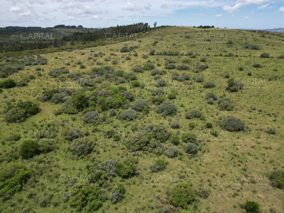 Chacra ID.37221 - Chacra en Pueblo Edén 8 has.