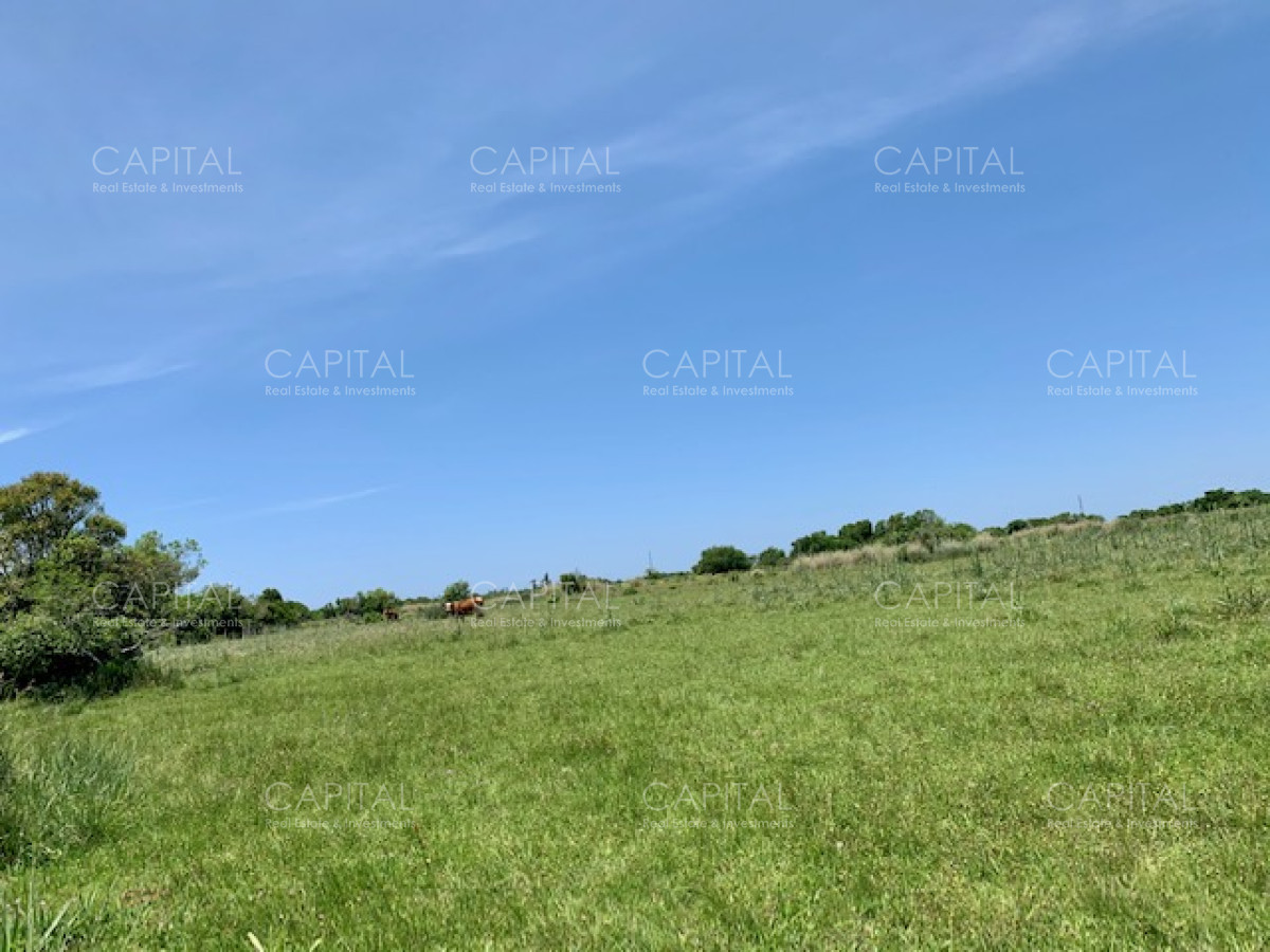 Chacra ID.28488 - Chacra con arroyo de casi 19 hectáreas disponible en Venta