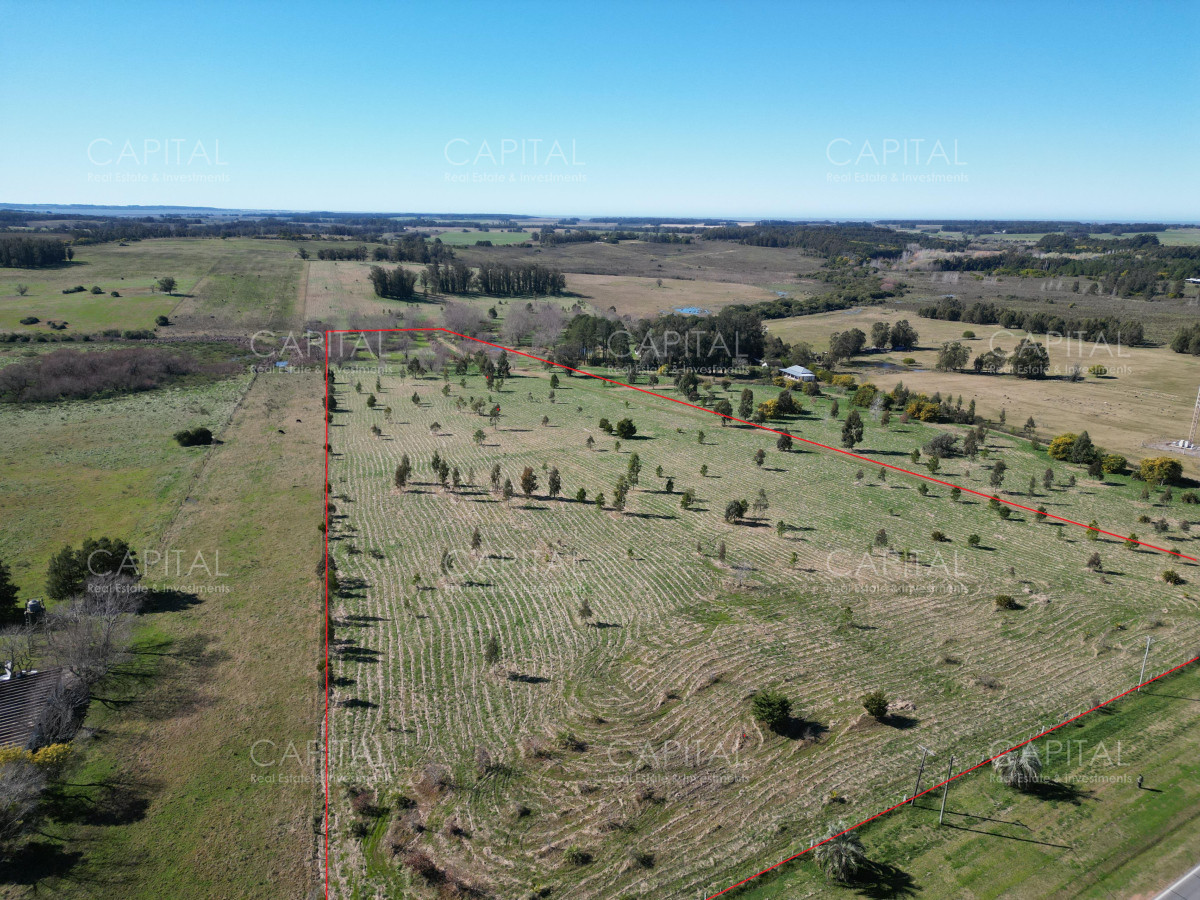 Chacra ID.38835 - Chacra de 5 has sobre ruta 104 próximo Pueblo Mío, NARBONA La Plantación