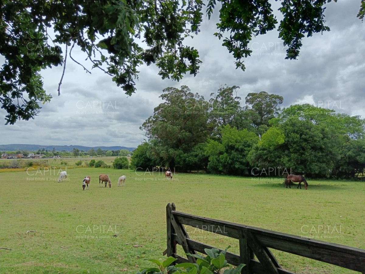 Chacra ID.37396 - CHACRA de 2 HAS.  a 200m de ruta 9 