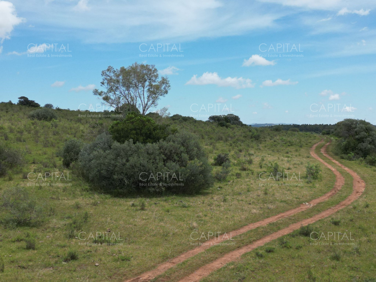 Chacra ID.37221 - Chacra en Pueblo Edén 8 has.