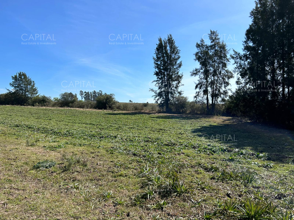 Chacra ID.35123 - Chacra con casa moderna en venta, Ruta 39. 