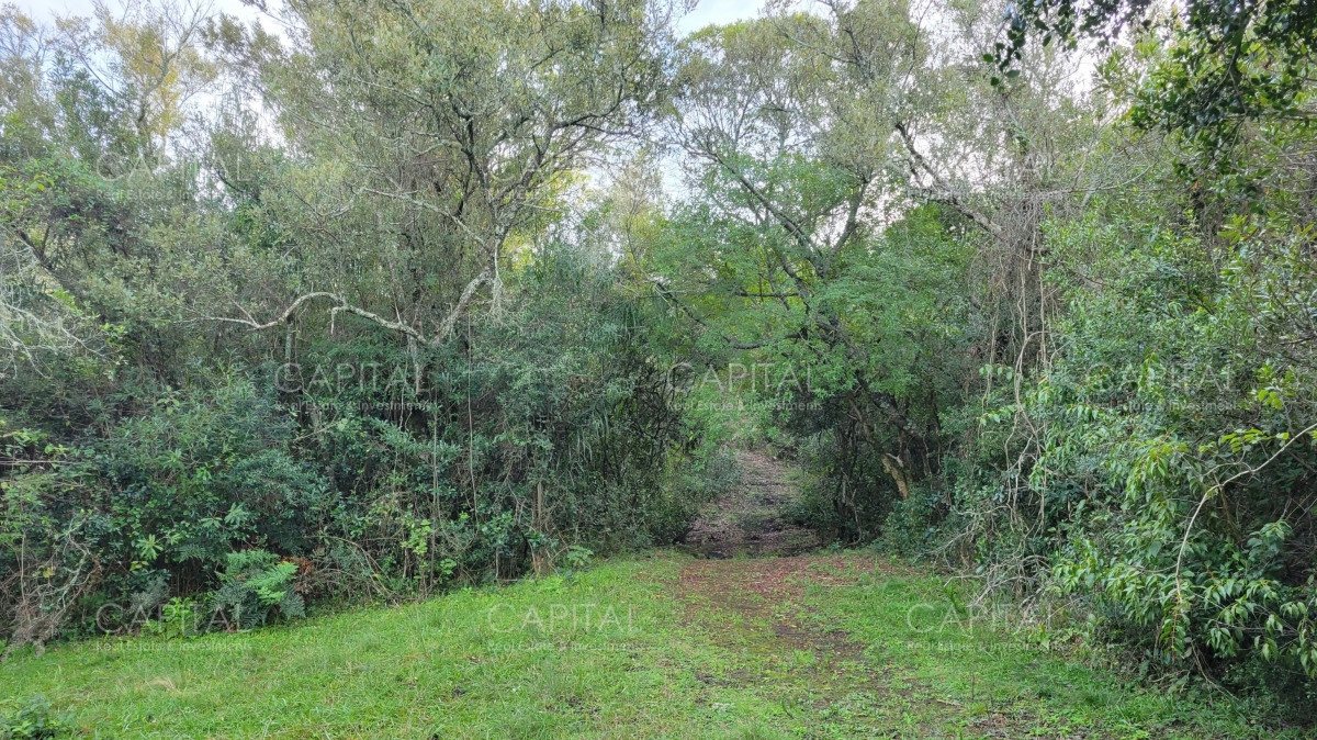 Chacra ID.35105 - Chacra en venta, Sierras de Maldonado - Uruguay