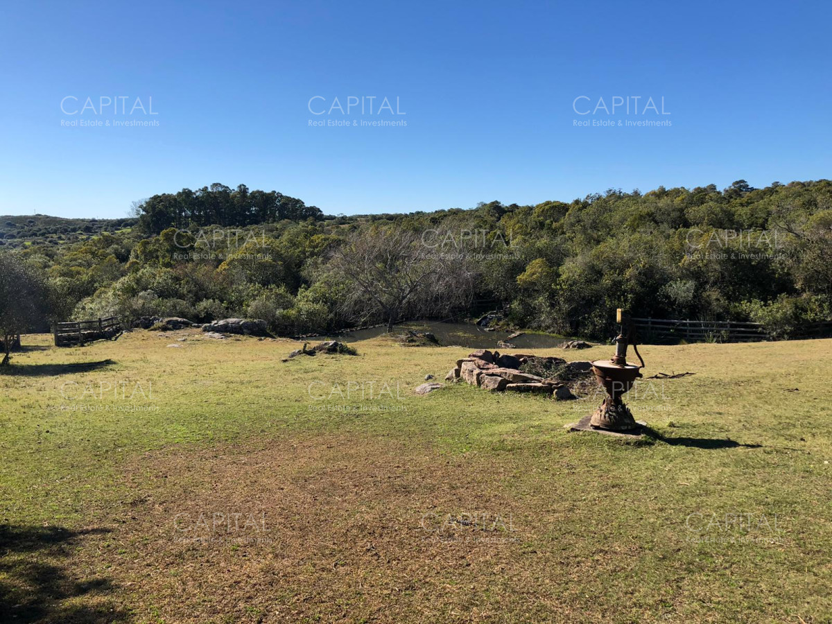 Chacra ID.31247 - Chacra en Ruta 39, en venta