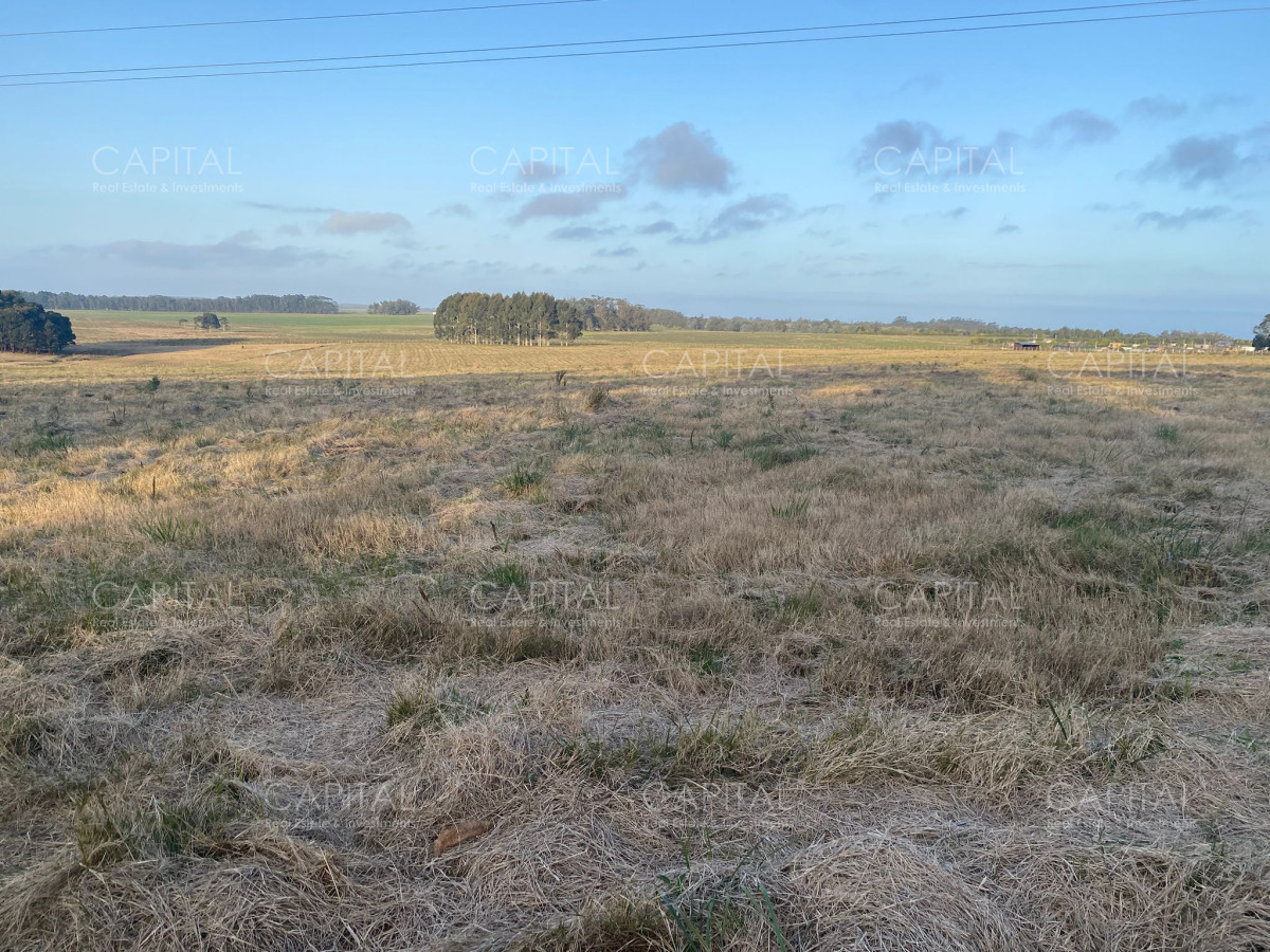 Chacra ID.38823 - Chacra de 5 has sobre ruta 104 próximo a MACA ,Pueblo Mío, NARBONA La Plantación
