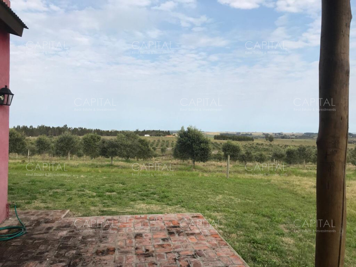 Chacra ID.30496 - Chacra en Venta a 18km de Jose Ignacio