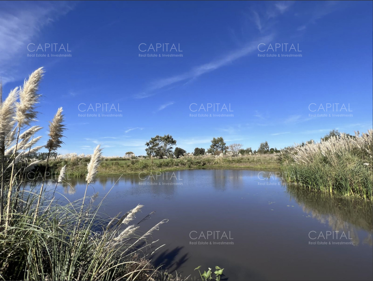 Chacra ID.38273 - Chacra de siete dormitorios en venta en Manantiales