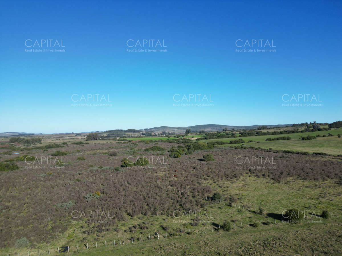 Chacra ID.38318 - Chacra de 5 hectáreas , Pueblo Edén 
