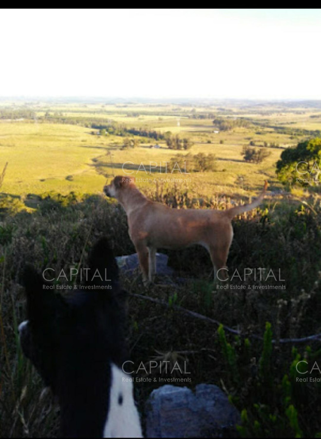 Chacra ID.29901 - Campo de 39 hectareas en venta en Aiguá