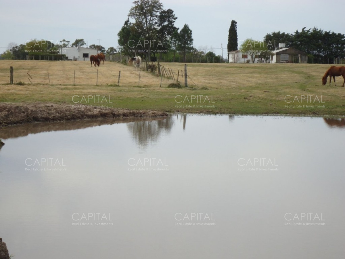 Chacra ID.27664 - Excelente Chacra en venta en zona de La Pataia