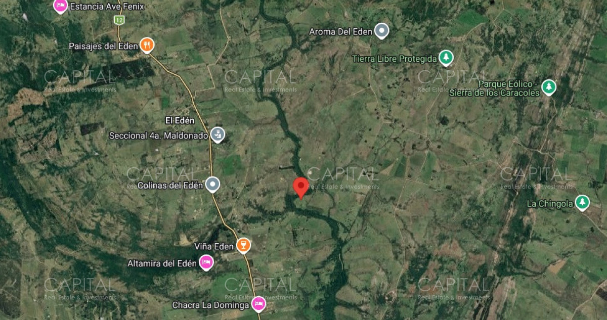 Chacra ID.39639 - Inversión estratégica :Excelente chacra con gran potencial turístico 11has  