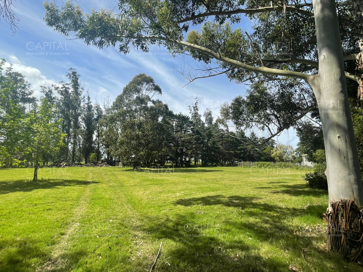 Chacra ID.36917 - Excepcional chacra de 5 has en las proximidades en zona Fasano