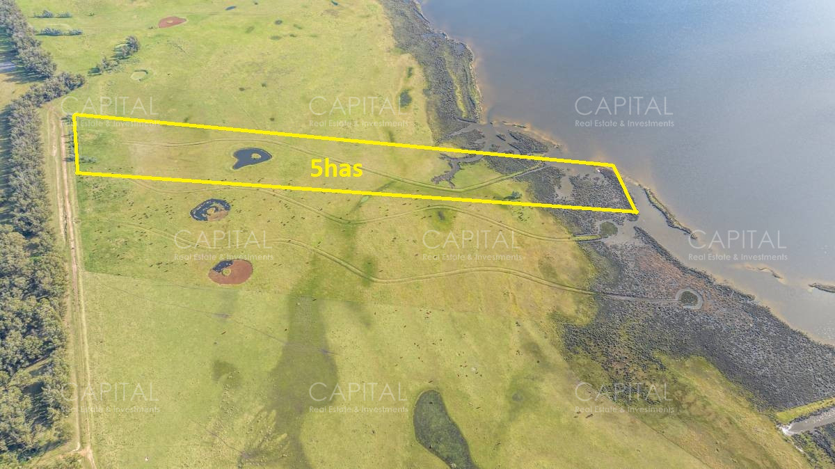 Chacra ID.39414 - Chacra de 5 has sobre Laguna José Ignacio 