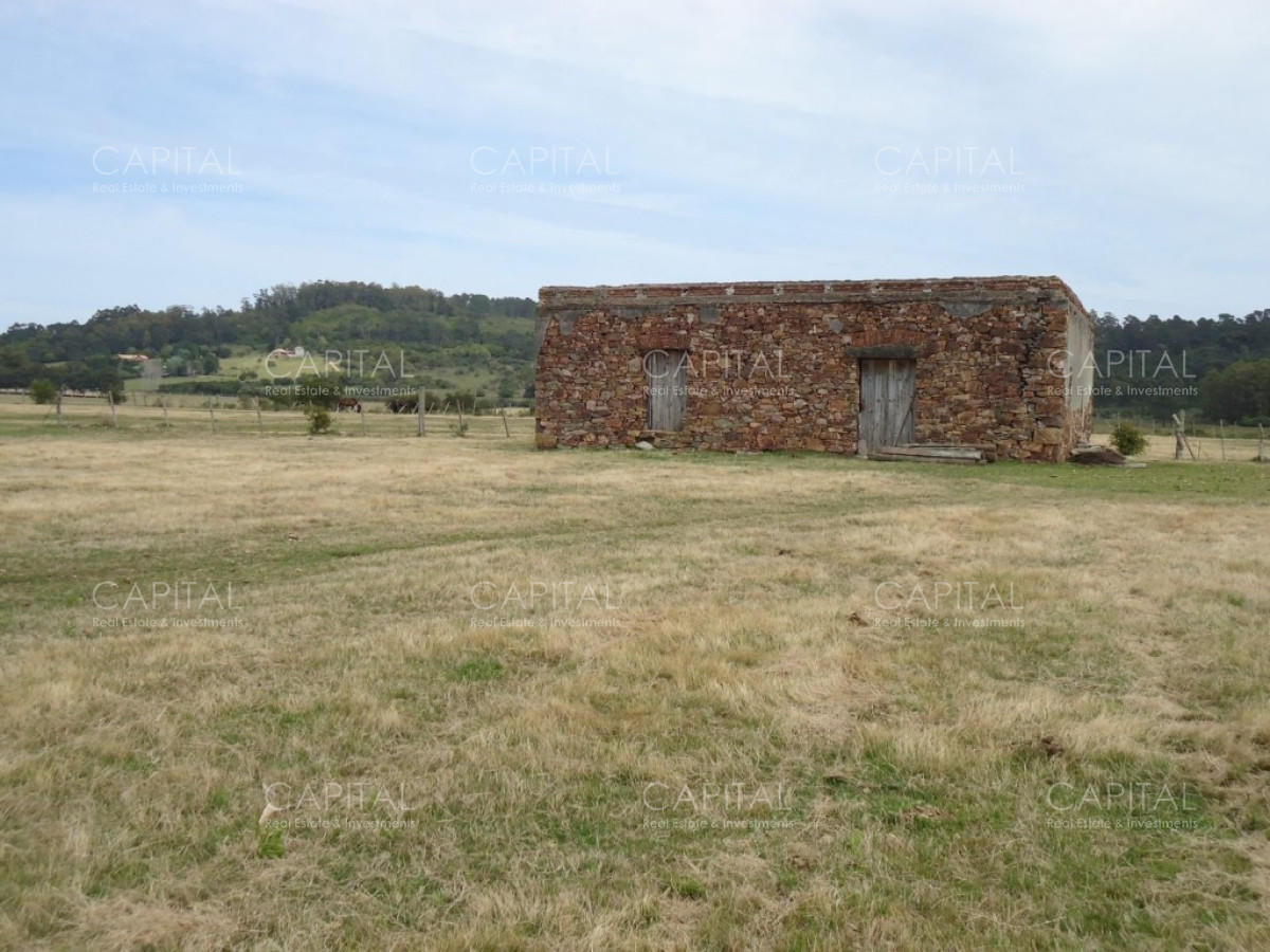 Chacra ID.27664 - Excelente Chacra en venta en zona de La Pataia