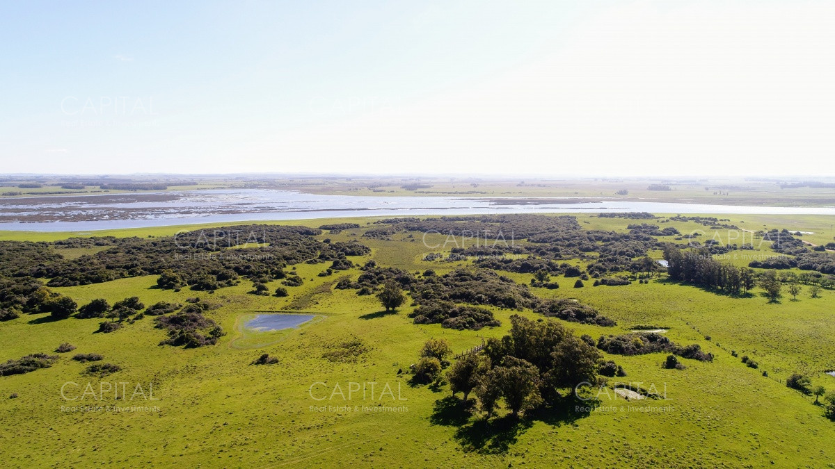 Chacra ID.29940 - Chacra en El Caracol - Garzon 108 Has, en venta