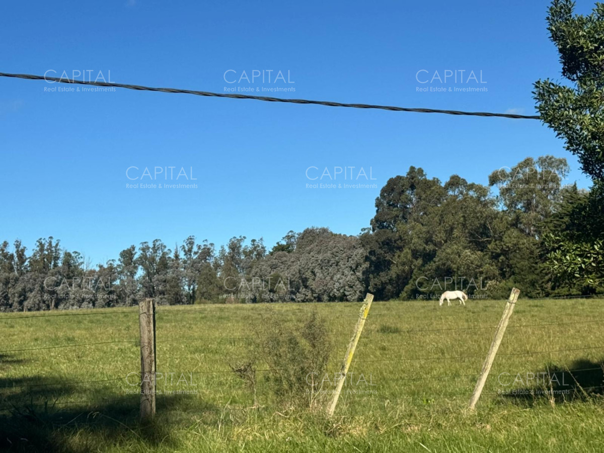 Chacra ID.40177 - Venta Chacra 3 Hectareas en La Barra