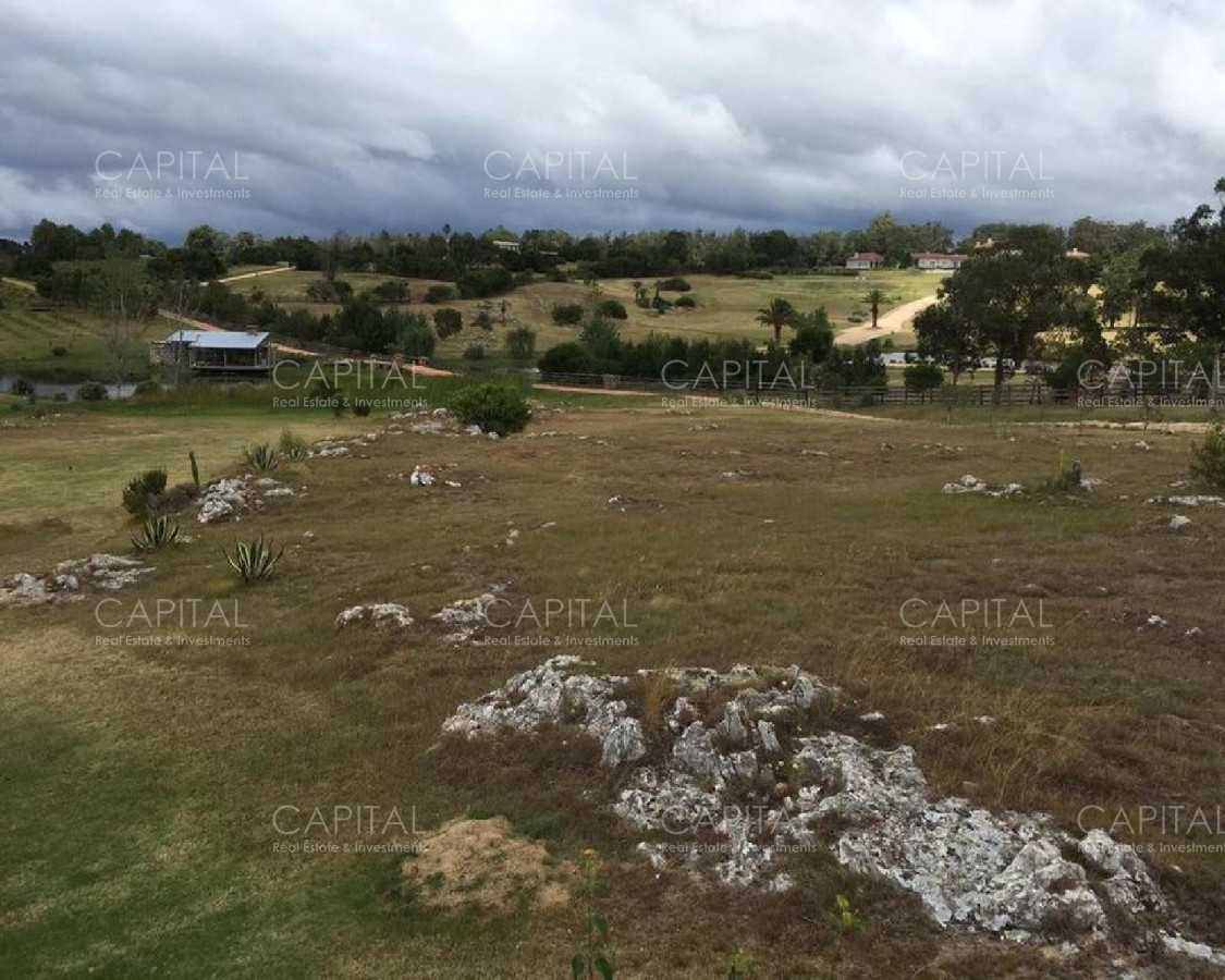 Chacra ID.26483 - Chacra en Mangrullos de Punta Piedras