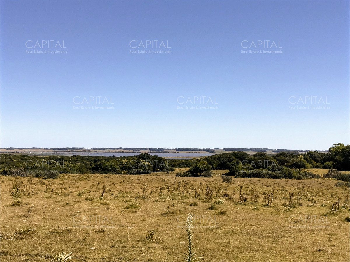 Chacra ID.29940 - Chacra en El Caracol - Garzon 108 Has, en venta