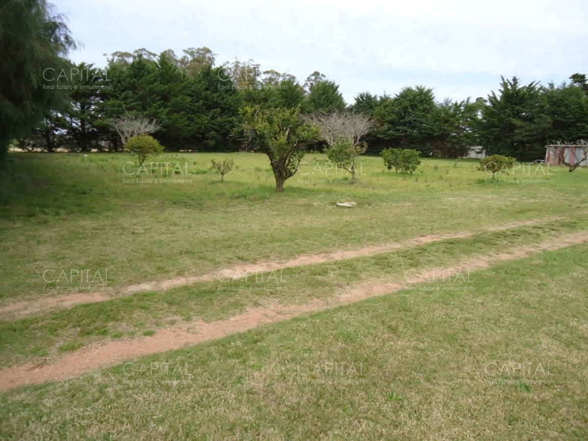 Chacra ID.27664 - Excelente Chacra en venta en zona de La Pataia