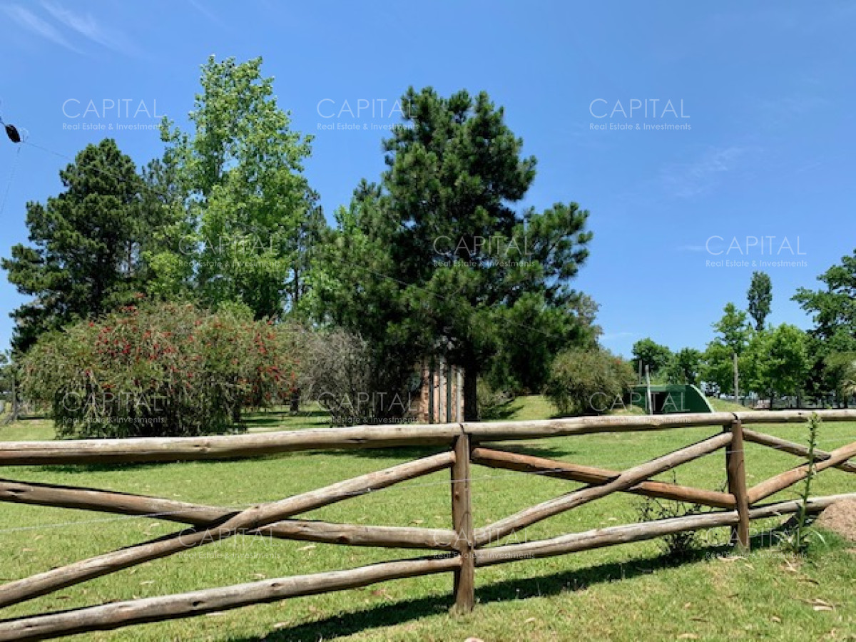 Chacra ID.28488 - Chacra con arroyo de casi 19 hectáreas disponible en Venta