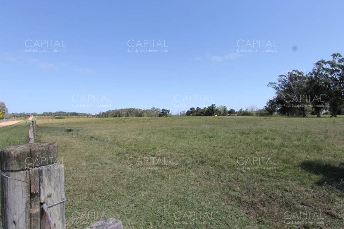 Chacra ID.36637 - Excepcional Chacra 12 HAS en Narbona