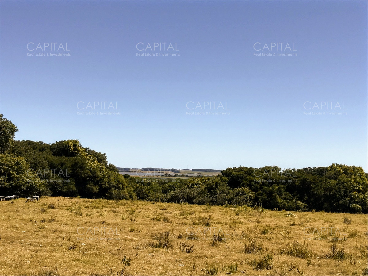 Chacra ID.29940 - Chacra en El Caracol - Garzon 108 Has, en venta