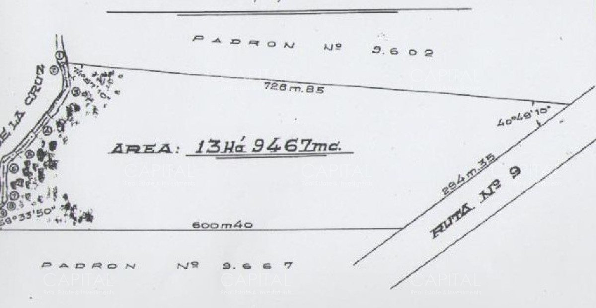 Chacra ID.28769 - Excelente Chacra en Ruta 9 - Venta