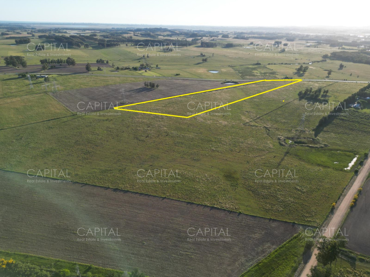 Chacra ID.39214 - Chacra de 5 has sobre ruta 104 próximo a MACA ,Pueblo Mío, NARBONA La Plantación