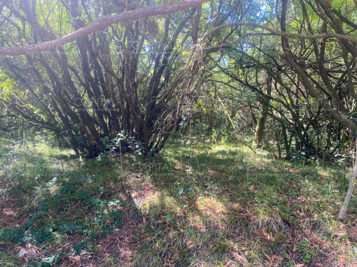 Chacra ID.39639 - Inversión estratégica :Excelente chacra con gran potencial turístico 11has  