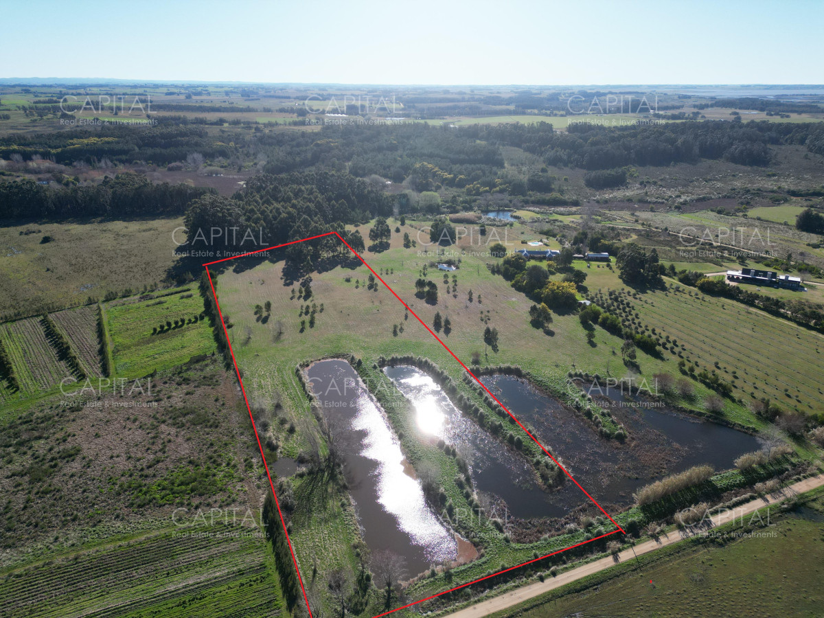 Chacra ID.38836 - Chacra de 5 has sobre ruta 104 próximo a MACA ,Pueblo Mío, NARBONA La Plantación  