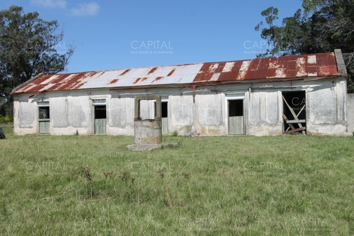 Chacra ID.36637 - Excepcional Chacra 12 HAS en Narbona