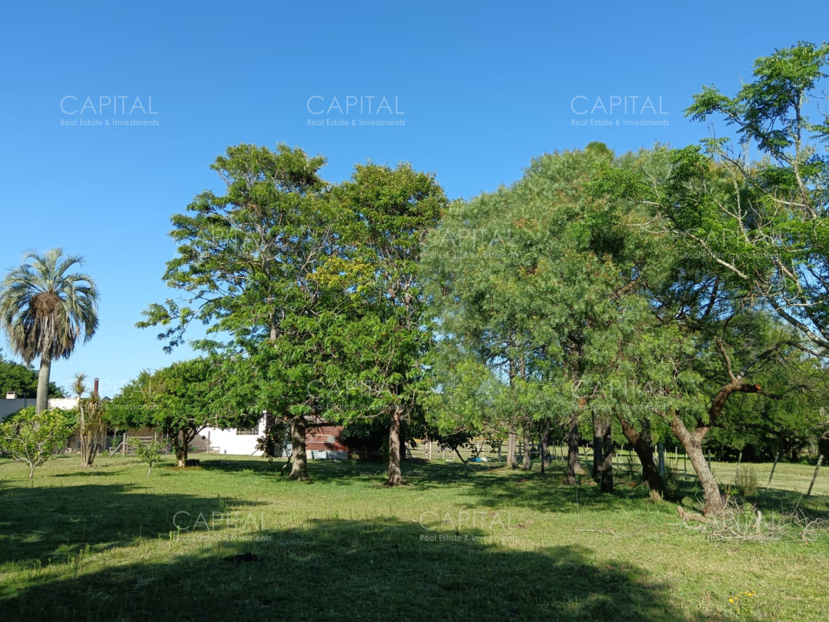 Chacra ID.37396 - CHACRA de 2 HAS.  a 200m de ruta 9 