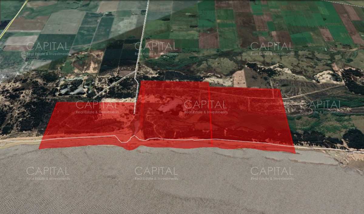 Chacra ID.29280 - Chacra con costa al Rio de La Plata