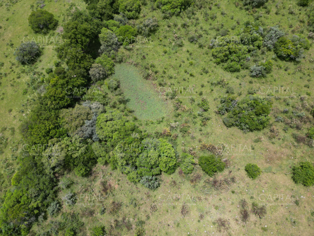 Chacra ID.37221 - Chacra en Pueblo Edén 8 has.