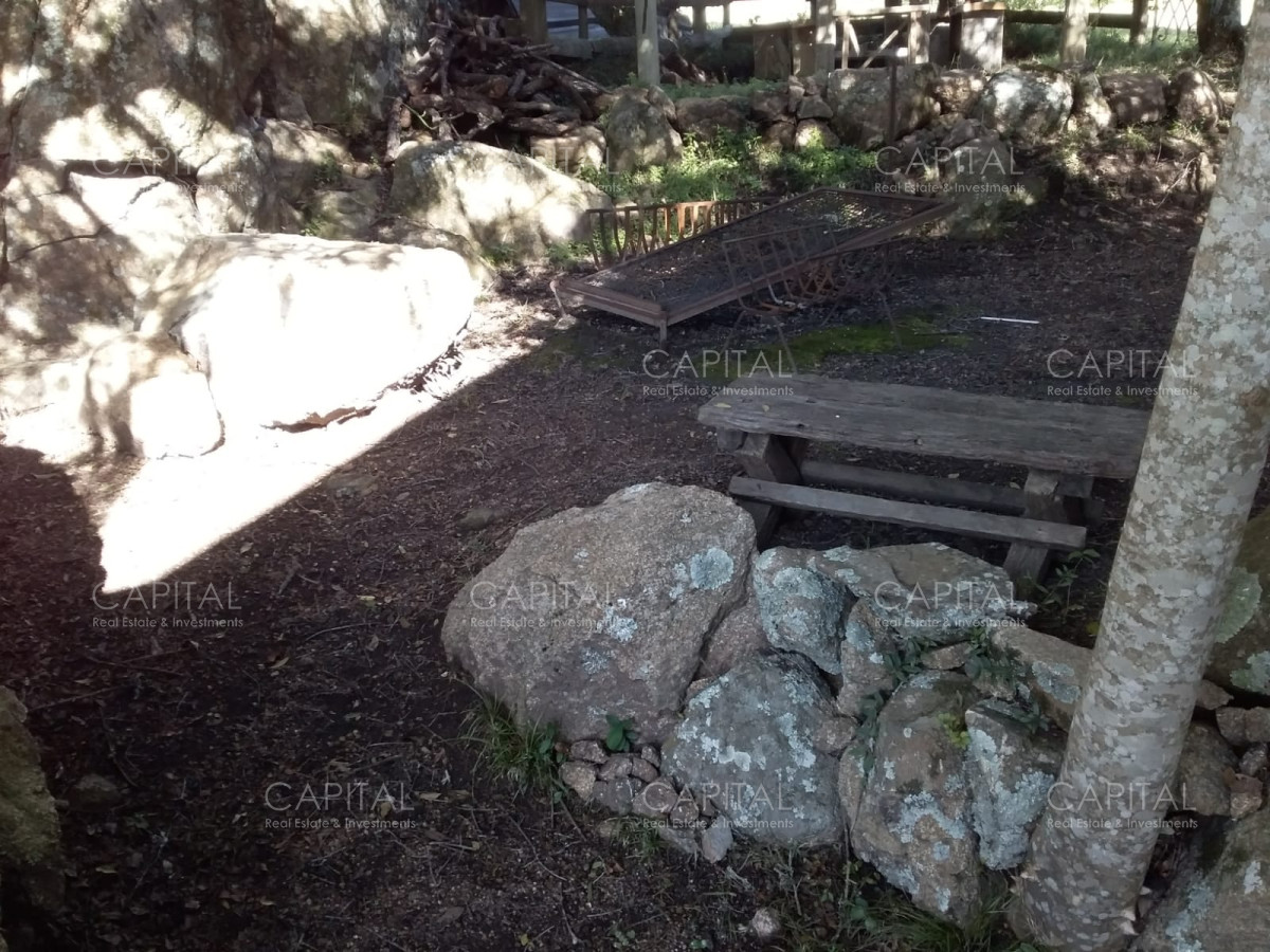 Chacra ID.31247 - Chacra en Ruta 39, en venta