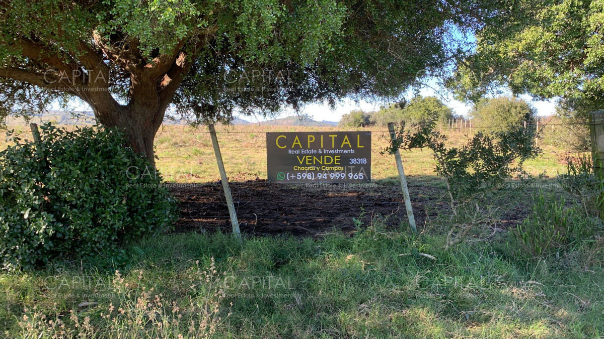 Chacra ID.38318 - Chacra de 5 hectáreas , Pueblo Edén 