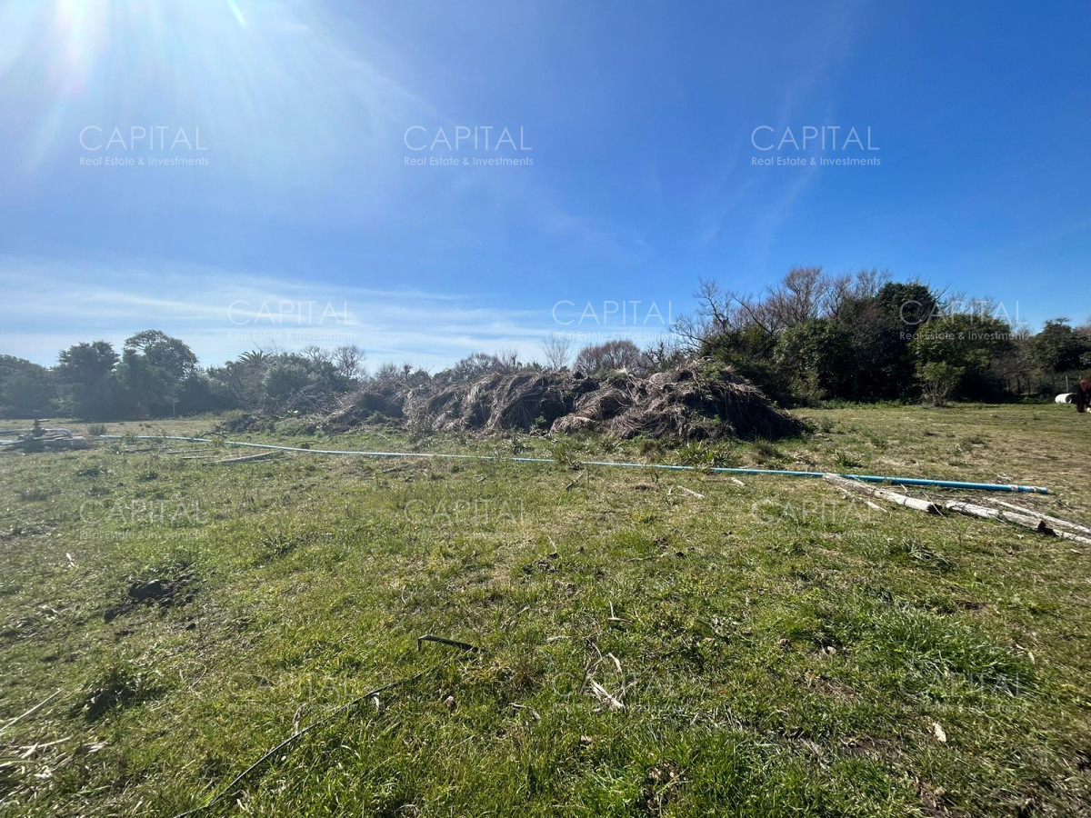 Chacra ID.35123 - Chacra con casa moderna en venta, Ruta 39. 