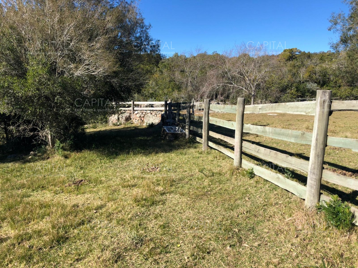 Chacra ID.31247 - Chacra en Ruta 39, en venta