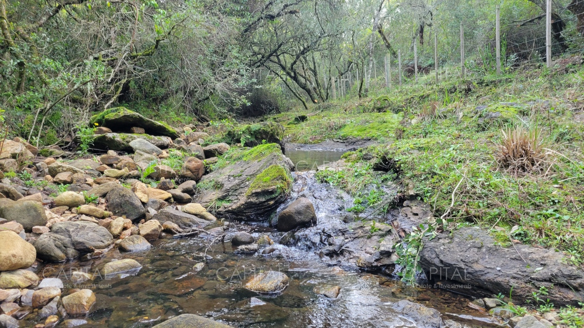 Chacra ID.35105 - Chacra en venta, Sierras de Maldonado - Uruguay