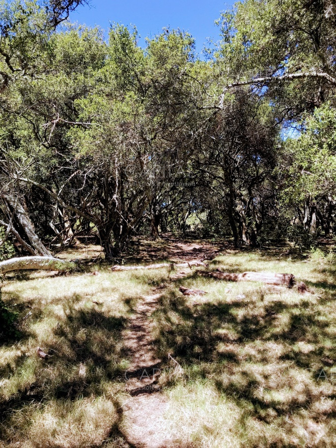 Chacra ID.29940 - Chacra en El Caracol - Garzon 108 Has, en venta