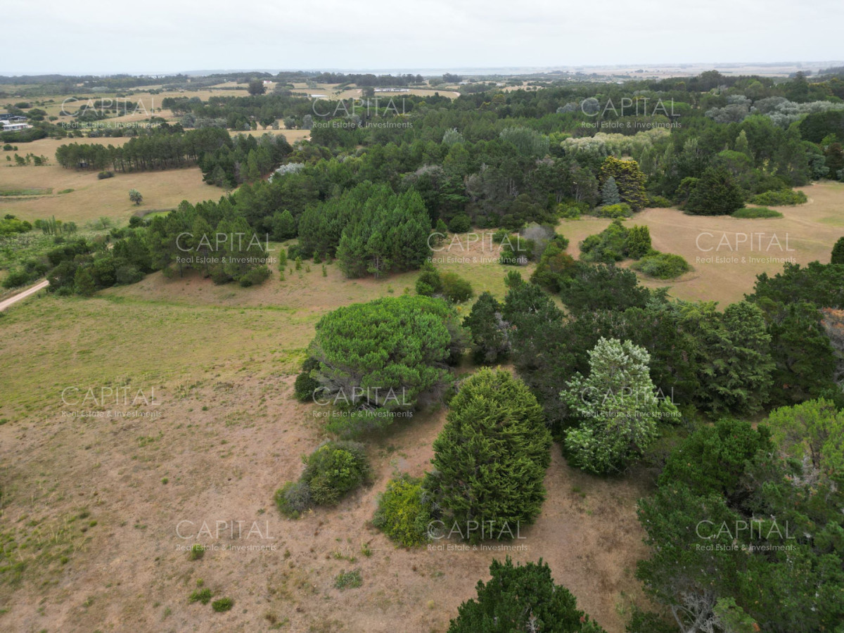 Chacra ID.39061 - Chacra de 5 Hectáreas, Las Portuguesas-José Ignacio 