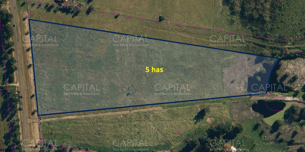 Chacra ID.38835 - Chacra de 5 has sobre ruta 104 próximo Pueblo Mío, NARBONA La Plantación