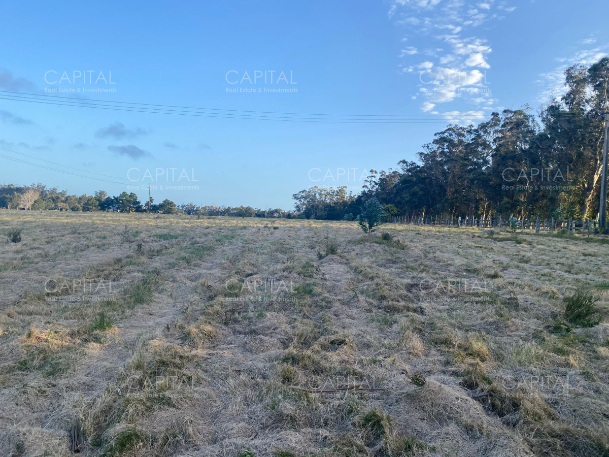 Chacra ID.38834 - Chacra de 5 has sobre ruta 104 próximo a MACA ,Pueblo Mío, NARBONA La Plantación