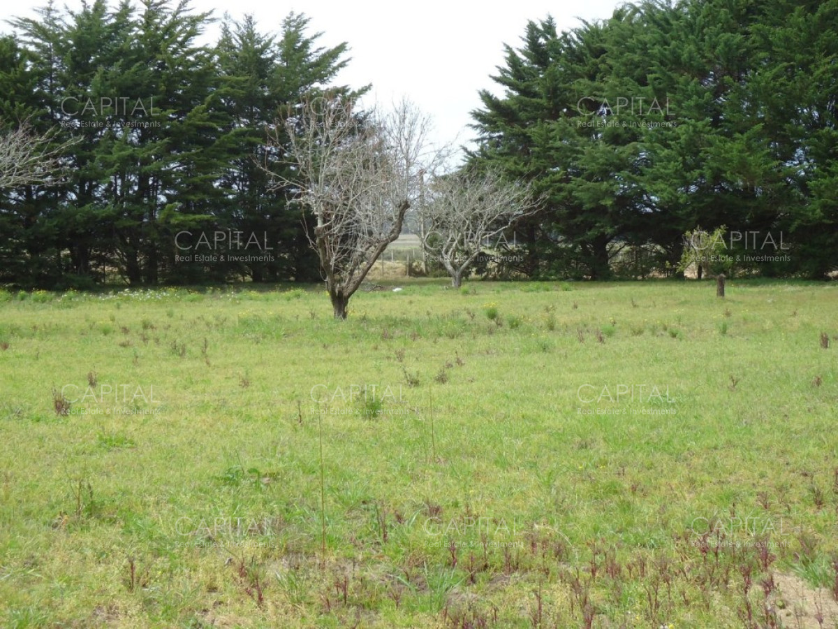 Chacra ID.27664 - Excelente Chacra en venta en zona de La Pataia