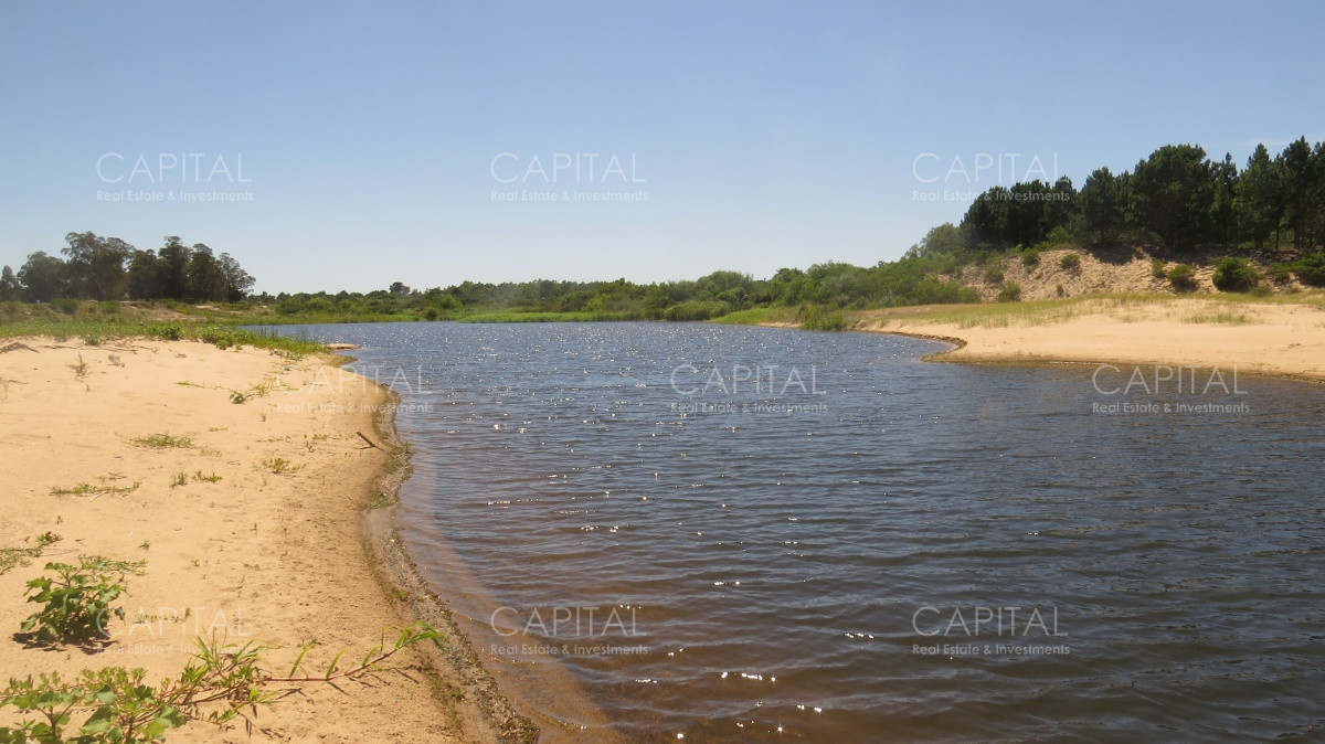 Chacra ID.29280 - Chacra con costa al Rio de La Plata