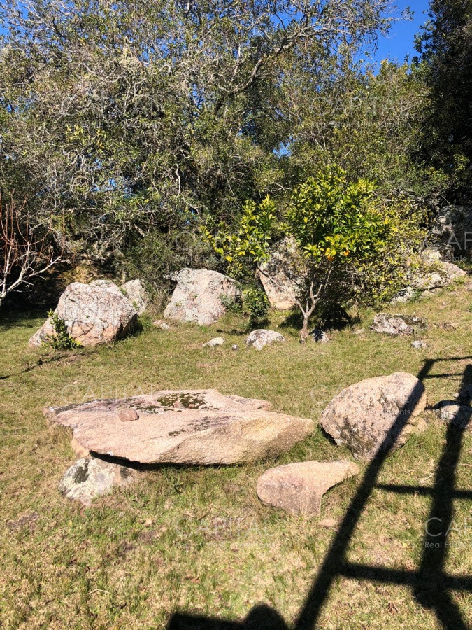 Chacra ID.31247 - Chacra en Ruta 39, en venta